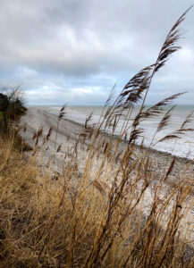 Als, Alsen, Insel, Landschaft, Dänemark Als, Alsen, Insel, Landschaft, Dänemark